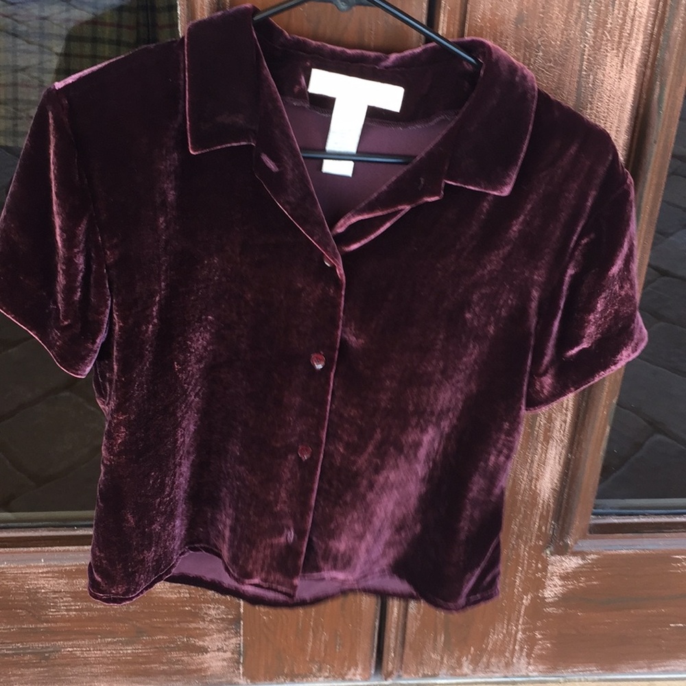 Velvet top for holidays or any occasion